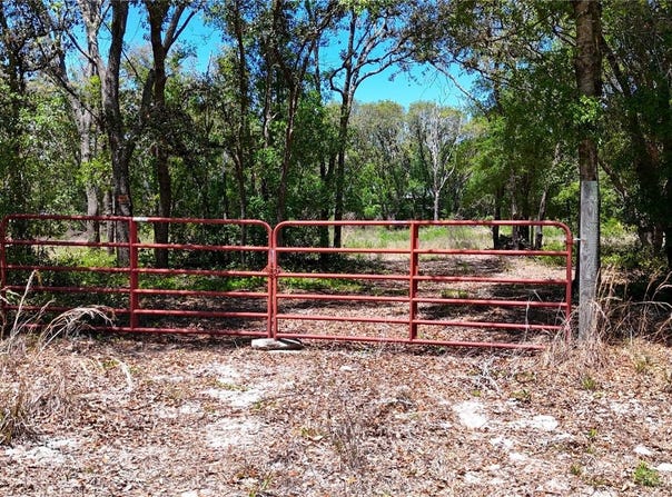 34281 UMBRELLA ROCK Drive, WEBSTER, FL 33597