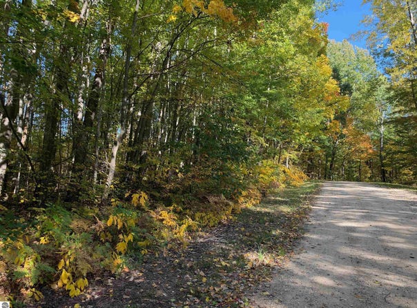 TICINO DRIVE, REED CITY, MI 49677
