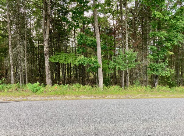 Edes Falls Road, Harrison, ME 04040