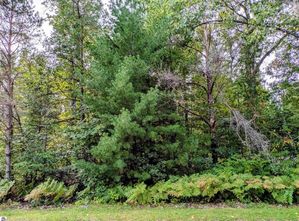 S Forest Lake Drive, Alger, MI 48610