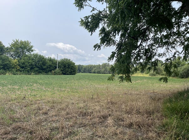 2047 190th Avenue, Morley, MI 49336