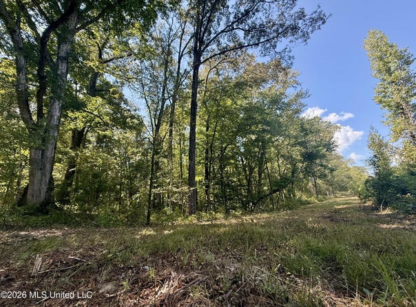 Cooper Road, Camden, MS 39045