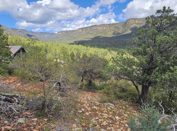 5059 N HILLTOP Drive, Pine, AZ 85544
