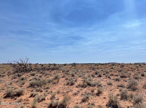 Parcel B Highway 77, Snowflake, AZ 85937