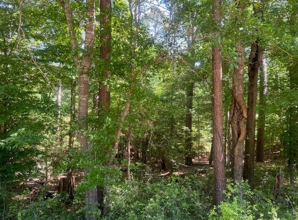 324 Leisure Lane, Etoile, TX 75944