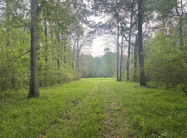 0 Hwy 45 Alt, West Point, MS 39773