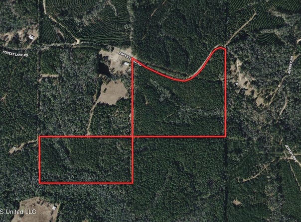 259 Forest Lake Road, Beaumont, MS 39423