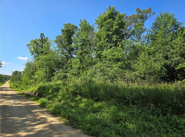 Hemlock Road lot: 8, Eleva, WI 54738