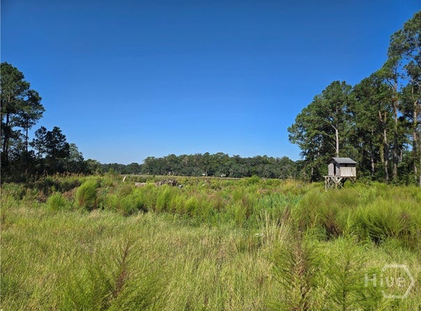 River Road, Midway, GA 31320