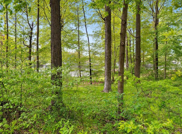 VANS Lane, CASCO, WI 54205