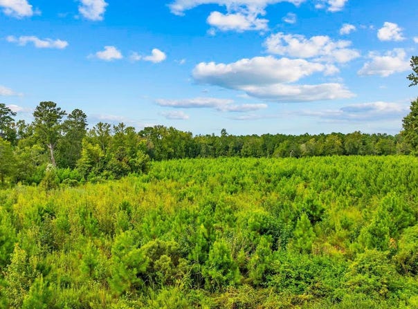 Carter Rd., Loris, SC 29569