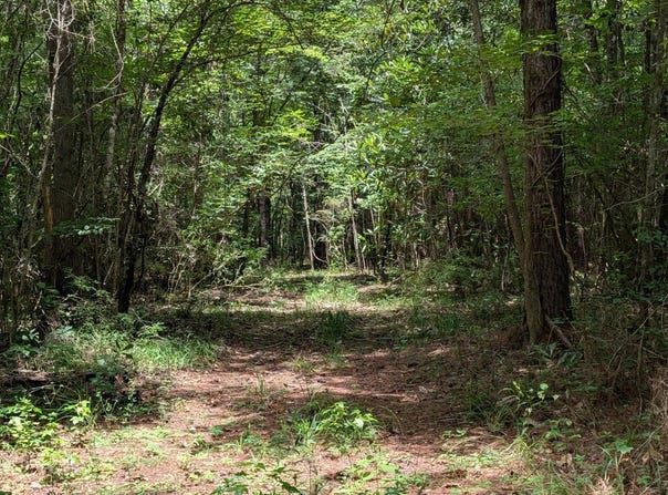 Graball Rd, Clopton, AL 36310