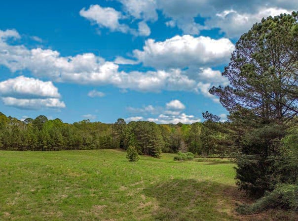 682 Shirley Lathem Rd, Reform, AL 35481