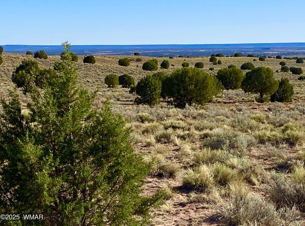 River Meadows Ranch Unit 3 Lot 204, Concho, AZ 85924
