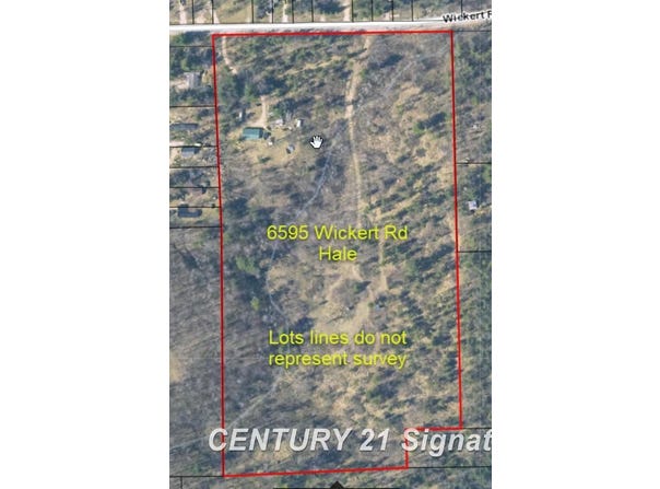 6595 Wickert Road, Hale, MI 48739