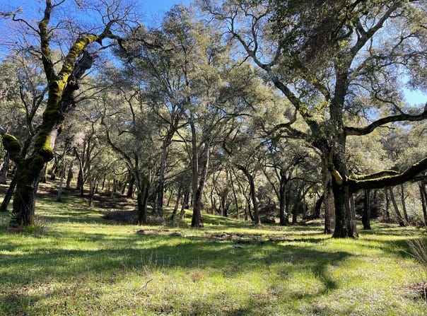 10 Garzas TRL, carmel, CA 93923