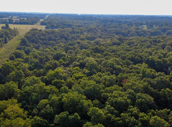 N Farm Rd 69, Walnut Grove, MO 65770