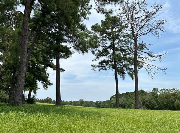 Madison lot: 378, Woodville, TX 75979
