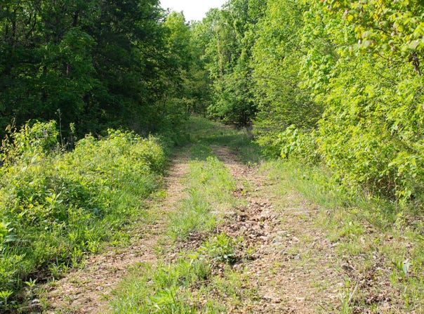 Terrace Lane, Cape Fair, MO 65624