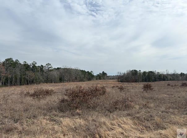 TX HWY 8, Linden, TX 75563