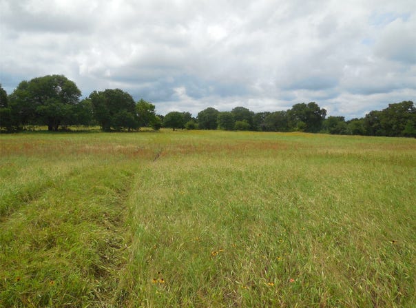 County Road 488, Ranger, TX 76470
