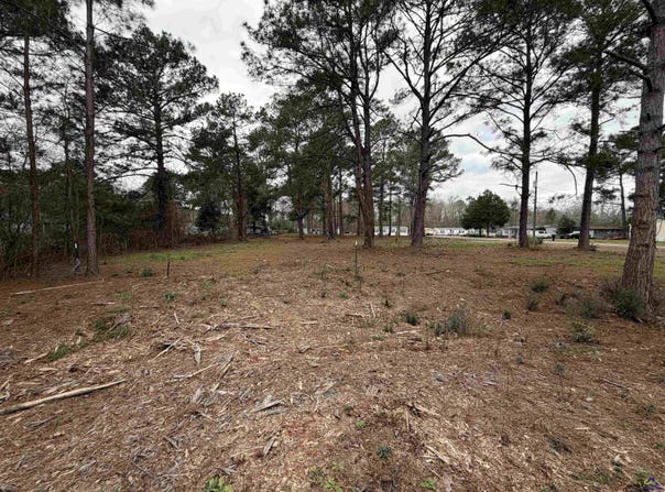 111 Persimmon Drive, Kathleen, GA 31047