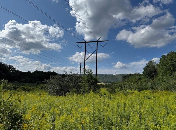 Butternut Drive, Lehigh Twp, PA 18088