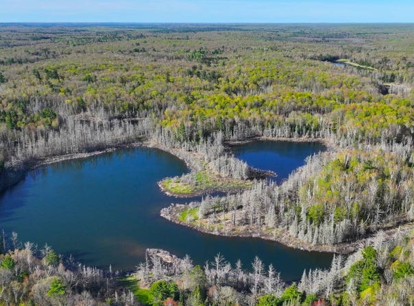 XX71 Holly Lake Rd., Drummond, WI 54832