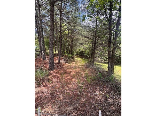 Lot 13 Porter Place, Blairsville, GA 30512