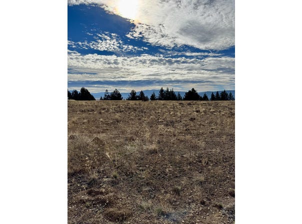 Lot 89 Rim, Chiloquin, OR 97624