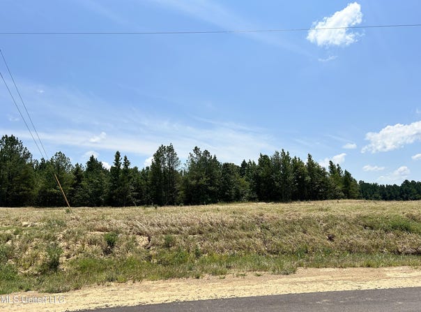 21 Hazelwood Drive lot: 21, Lake Cormorant, MS 38641