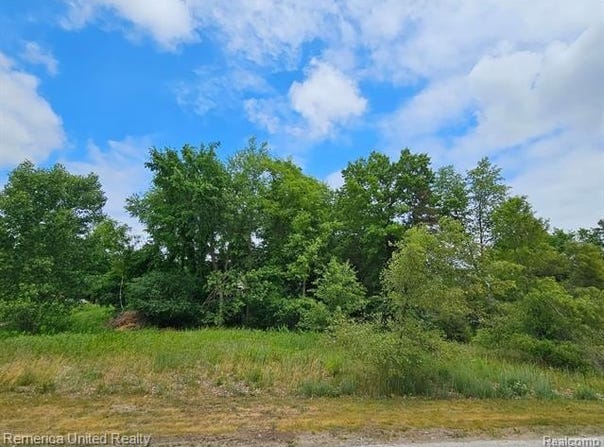 10536 Oak Shore Drive, Green Oak Twp, MI 48178
