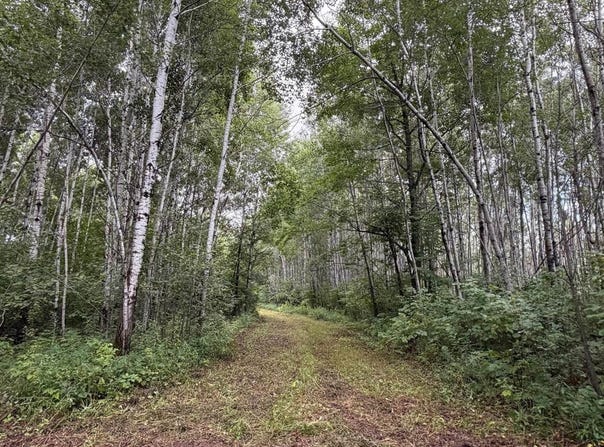 TBD County Road 12, Kettle River, MN 55757