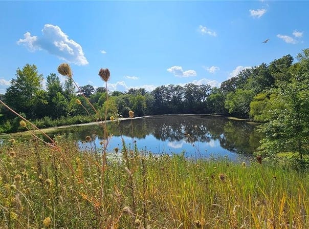 Sharps Pl, Perry, MO 63462