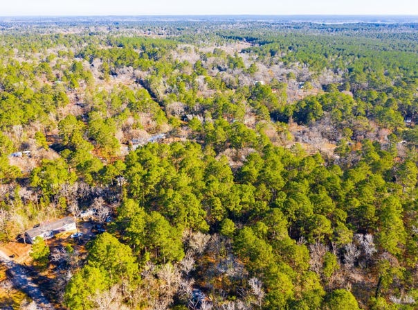 Cedar Court lot: 30, Trinity, TX 75862