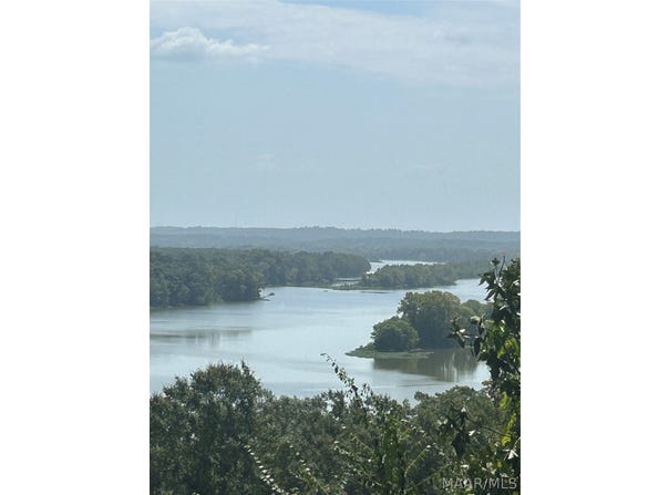 3 Prairie Bluff Drive, Catherine, AL 36728