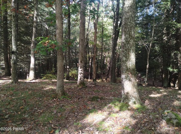 131 Water View Drive, Hawley, PA 18428