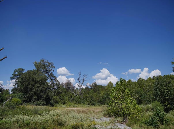 3324 Hilldale Road, Alexander, AR 72002