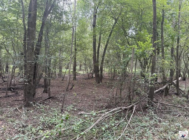 CR 4126, New Boston, TX 75770