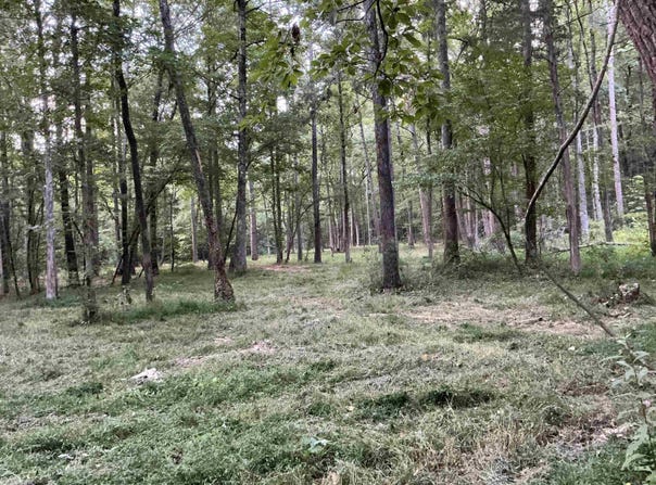32 Arrow Ridge Rd, Damascus, AR 72031