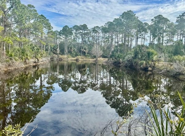 Sweet Gum Ln, Cedar Key, FL 32625