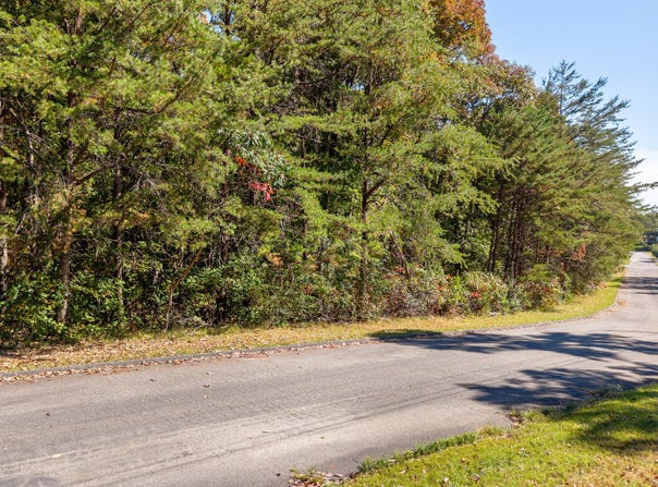 Smith Drive lot: 38, Signal Mountain, TN 37377