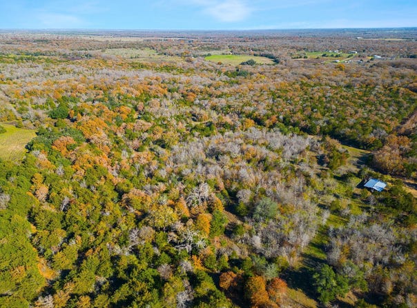 272 Deadwood Rd, Cedar Creek, TX 78621