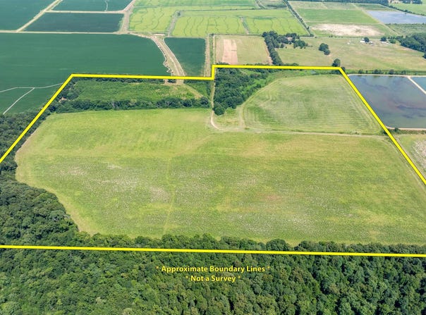 N Gray Rd, Des Arc, AR 72040