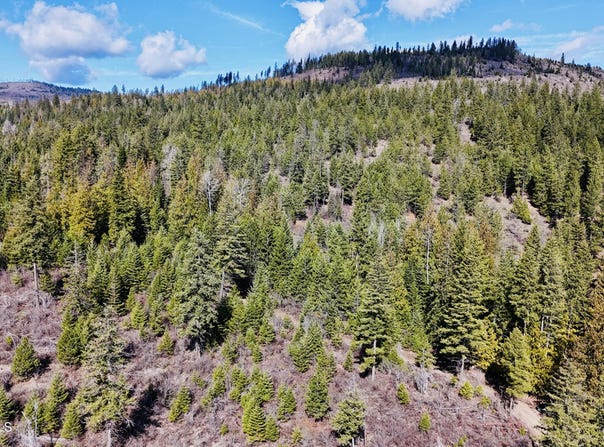 NKA N Whittum Rd, Priest River, ID 83856