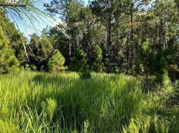 Old Grade Road, FL 33868
