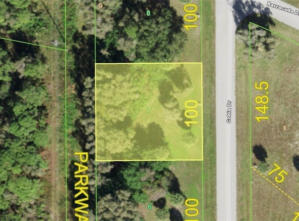 70 COBIA DRIVE, PLACIDA, FL 33946