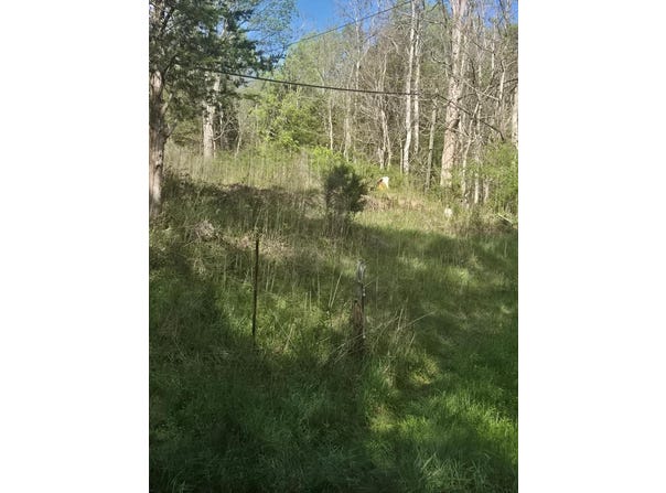 Huddle Rd. lot: 0, Ivanhoe, VA 24350