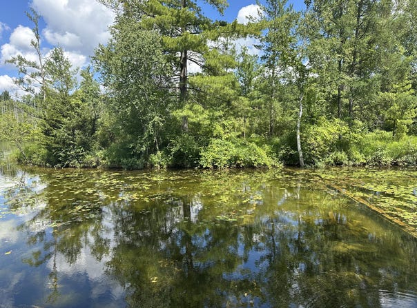 1743 W 68th Street, Baldwin, MI 49304