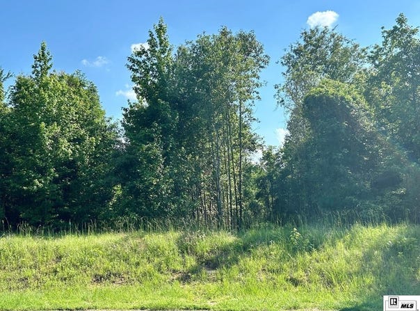 N POINTE DRIVE, Downsville, LA 71234